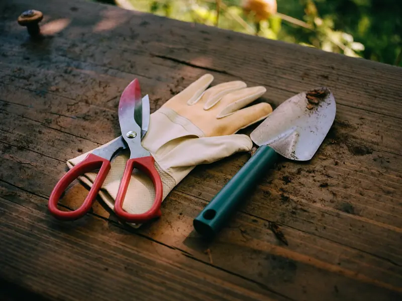 Gartenschere, Handschuhe und Pflanzkelle auf einem Holztisch